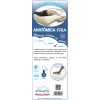 Almohada ANATÓMICA FRÍA Pequeña